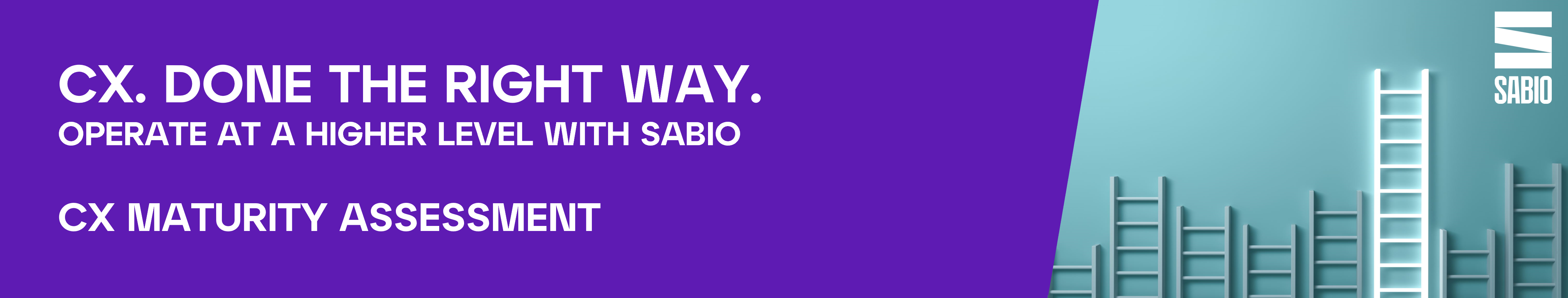 CX Maturity Banner.png